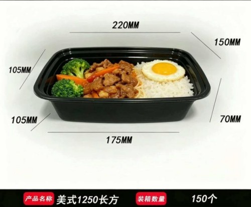 American-style rectangular PP meal box with insert tray