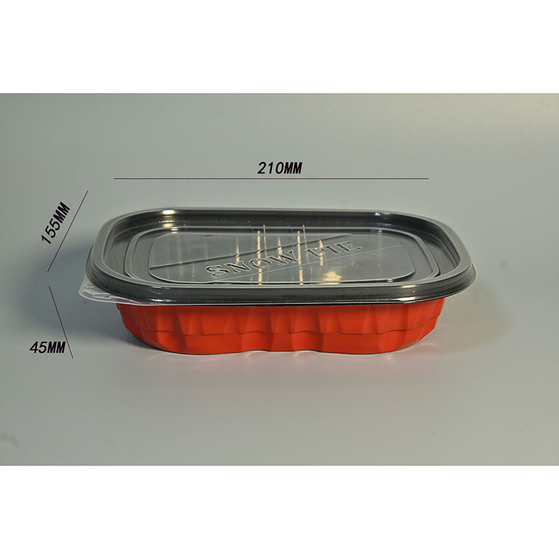 Conteneur cubique transparent